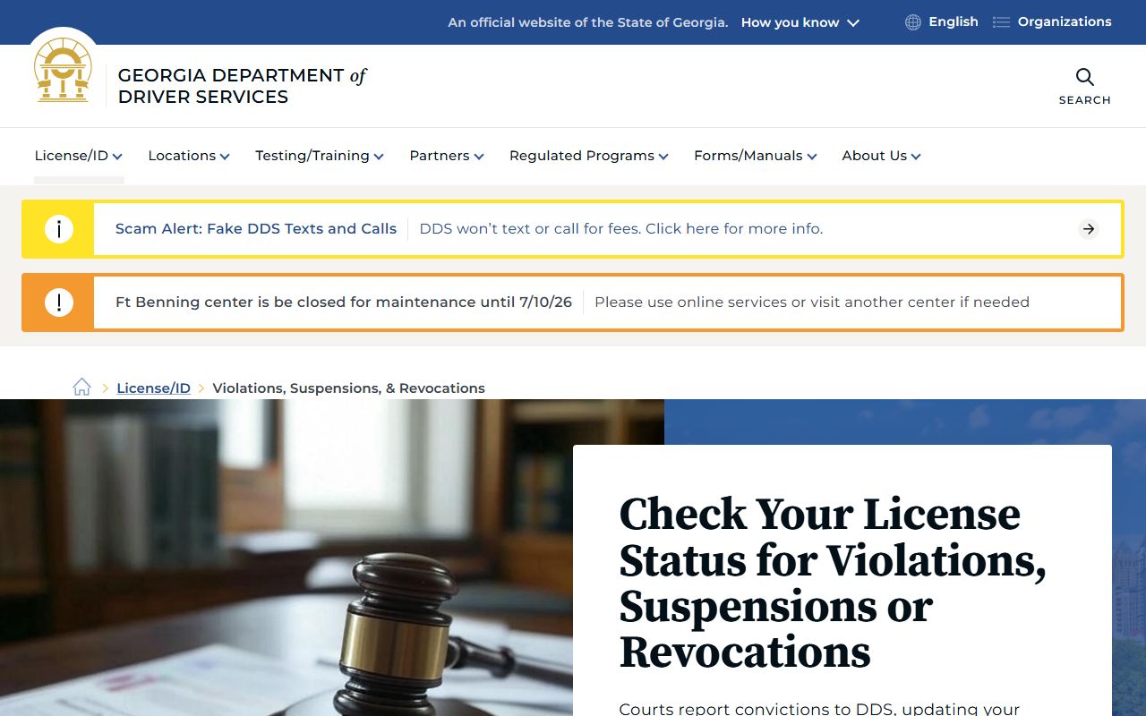 Schley County Probate Court traffic records and Georgia DDS violations